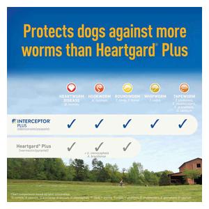 Interceptor Plus for Dogs 2-8 lbs 6 ct - Item # 1317RX