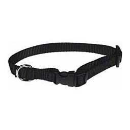 Scott's Adjustable Dog Collar Black 3/4 x 10-16 in - Item # 13324