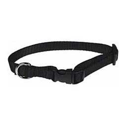 Scott's Adjustable Dog Collar Black 3/4'' x 10 - 16'' - Item # 13324