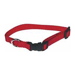 Scott's Adjustable Dog Collar Red 3/4 x 10-16 in - Item # 13324