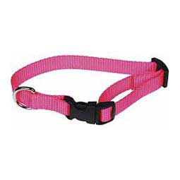 Scott's Adjustable Dog Collar Hot Pink 3/4 x 10-16 in - Item # 13324