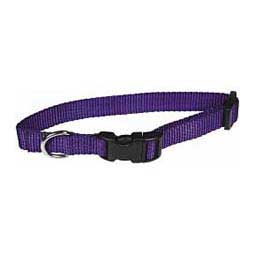 Scott's Adjustable Dog Collar Purple 3/4 x 10-16 in - Item # 13324