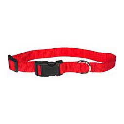 Scott's Adjustable Dog Collar Red 1 x 18-26 in - Item # 13325