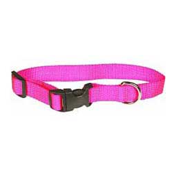 Scott's Adjustable Dog Collar Hot Pink 1 x 18-26 in - Item # 13325