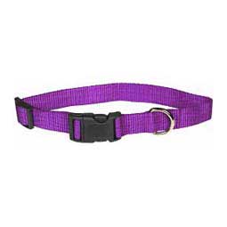 Scott's Adjustable Dog Collar Purple 1 x 18-26 in - Item # 13325