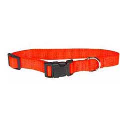 Scott's Adjustable Dog Collar Hot Orange 1 x 18-26 in - Item # 13325