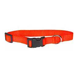 Scott's Adjustable Dog Collar Hot Orange 1'' x 18-26'' - Item # 13325