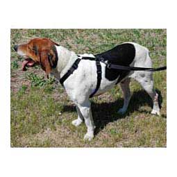 Scott's Adjustable Harness Black 1'' (22-38'' chest) - Item # 13326C