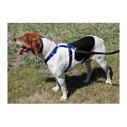 Scott's Adjustable Harness Blue 1'' (22-38'' chest) - Item # 13326C