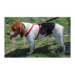 Scott's Adjustable Harness Red 1'' (22-38'' chest) - Item # 13326C