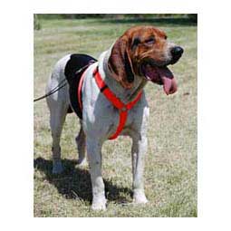 Scott's Adjustable Harness Hot Orange 1'' (22-38'' chest) - Item # 13326C