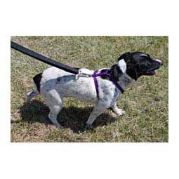 Scott's Adjustable Harness Purple 5/8'' (12-20'' chest) - Item # 13328
