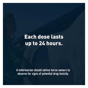 Equioxx for Horses 57 mg 180 ct - Item # 1351RX