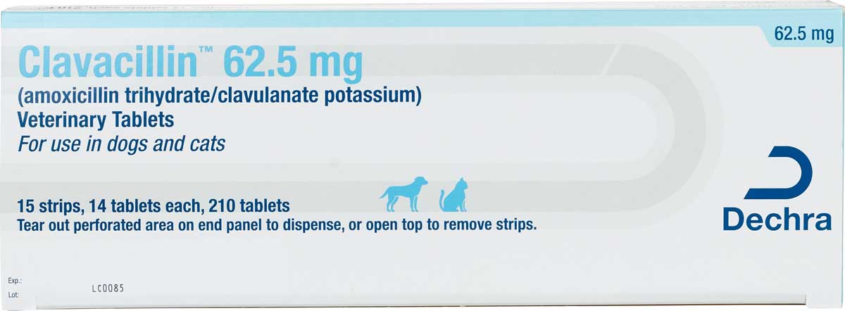 Amoxicillin Trihydrate and Clavulanate Potassium for Dogs Cats Putney