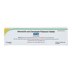 Amoxicillin Trihydrate and Clavulanate Potassium for Dogs & Cats 125 mg 210 ct - Item # 1353RX