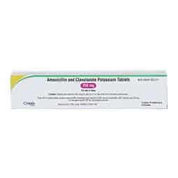 Amoxicillin Trihydrate and Clavulanate Potassium for Dogs & Cats 250 mg 210 ct - Item # 1354RX