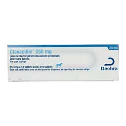 Amoxicillin Trihydrate and Clavulanate Potassium for Dogs & Cats 250 mg 210 ct - Item # 1354RX