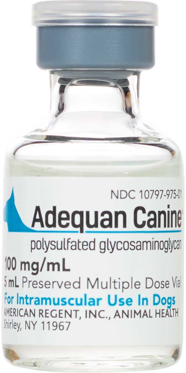 Adequan Canine American Regent Safe Pharmacy Arthritis Pain Inflammation Dog Rx Pet Adequan Canine American Regent Safe Pharmacy Arthritis Pain Inflammation Dog Rx Pet