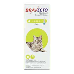 Bravecto Topical Solution for Cats 2.6-6.2 lbs 112.5 mg 1 ct - Item # 1370RX