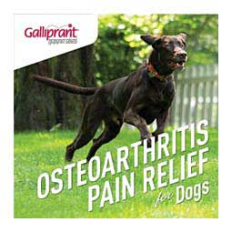 Galliprant for Dogs 20 mg 30 ct - Item # 1382RX