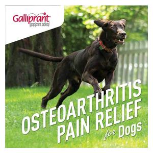 Galliprant for Dogs 20 mg 30 ct - Item # 1382RX