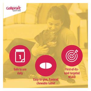 Galliprant for Dogs 20 mg 30 ct - Item # 1382RX