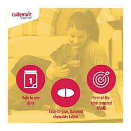Galliprant for Dogs 20 mg 30 ct - Item # 1382RX