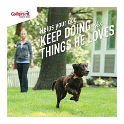 Galliprant for Dogs 20 mg 30 ct - Item # 1382RX