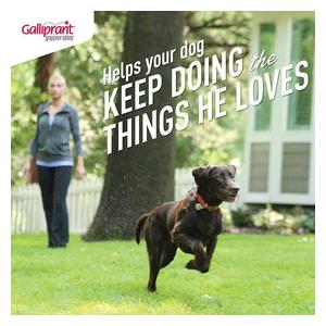 Galliprant for Dogs 20 mg 30 ct - Item # 1382RX