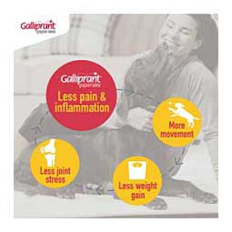 Galliprant for Dogs 20 mg 30 ct - Item # 1382RX