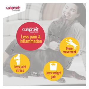 Galliprant for Dogs 20 mg 30 ct - Item # 1382RX