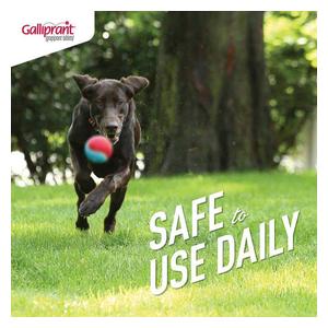 Galliprant for Dogs 20 mg 30 ct - Item # 1382RX