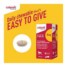Galliprant for Dogs 20 mg 30 ct - Item # 1382RX