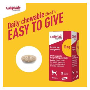 Galliprant for Dogs 20 mg 30 ct - Item # 1382RX