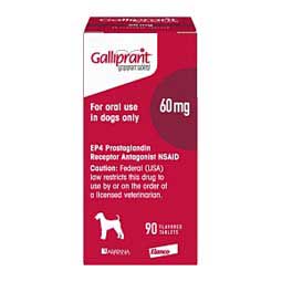 Galliprant for Dogs 60 mg 90 ct - Item # 1385RX