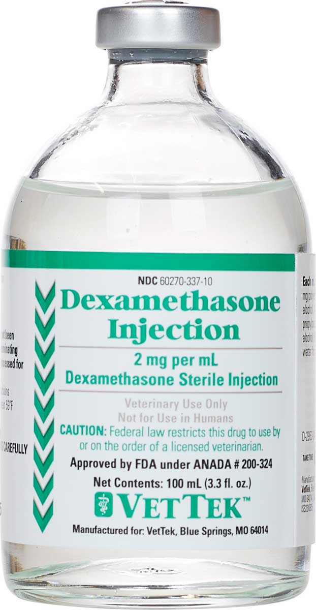 What Is A Dex Injection For Dogs at Christopher Carr-boyd blog