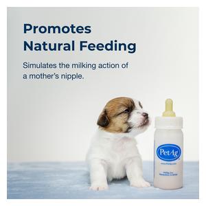 Nursing Kit for Small Animals 2 oz - Item # 14088