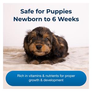 Esbilac Puppy Milk Replacer Powder for Puppies 28 oz - Item # 14096