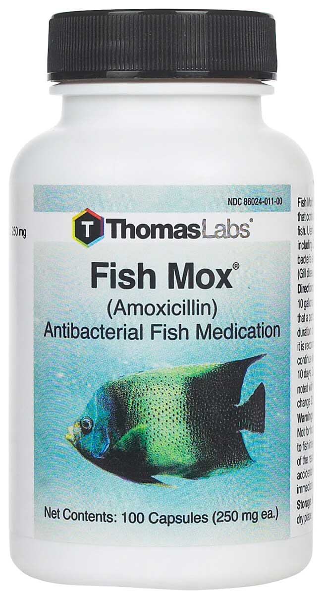 Fish Mox Fish Antibiotic Thomas Labs Antibiotics Pet