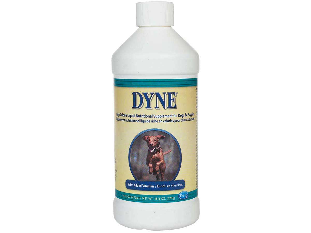 Dyne High Calorie Liquid Dietary Supplement for Dogs and Puppies PetAg