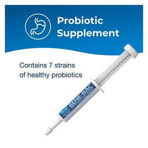 Bene-Bac Plus Pet Gel - Probiotics for Dogs, Cats, Exotic & Wildlife Mammals 15 gm tube - Item # 14154