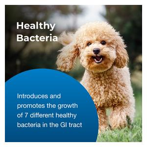 Bene-Bac Plus Pet Gel - Probiotics for Dogs, Cats, Exotic & Wildlife Mammals 15 gm tube - Item # 14154