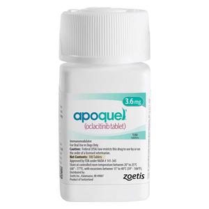 Apoquel for Dogs