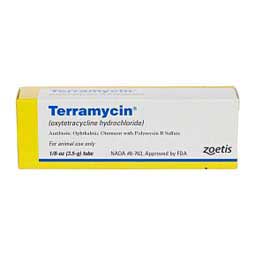 Terramycin Ophthalmic Ointment for Animal Use 3.5 gm 1 ct - Item # 1434RX