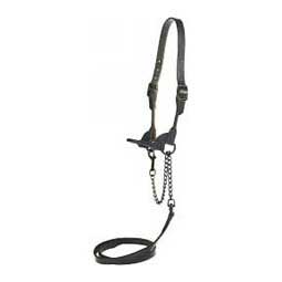 Black Magic Leather Cattle Show Halter S (650-1050 lb) - Item # 14497