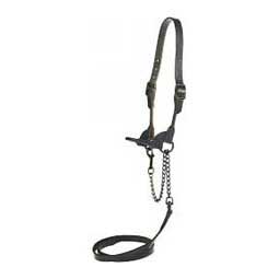 Black Magic Leather Cattle Show Halter S (650 - 1000 lbs) - Item # 14497