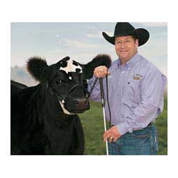Black Magic Leather Cattle Show Halter M (850 - 1400 lbs) - Item # 14498