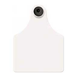 Tamperproof Blank Maxi Cattle ID Ear Tags White - Item # 14523