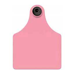 Tamperproof Blank Maxi Cattle ID Ear Tags Pink - Item # 14523