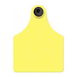 Tamperproof Blank Maxi Cattle ID Ear Tags Yellow - Item # 14523